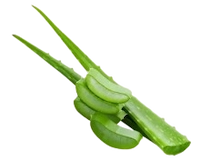 Aloe Vera Juice