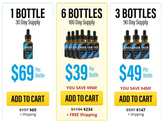 Java Brain Price Details