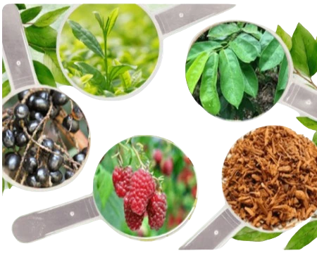 Prosta Peak Ingredients