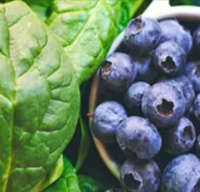 Quercetin